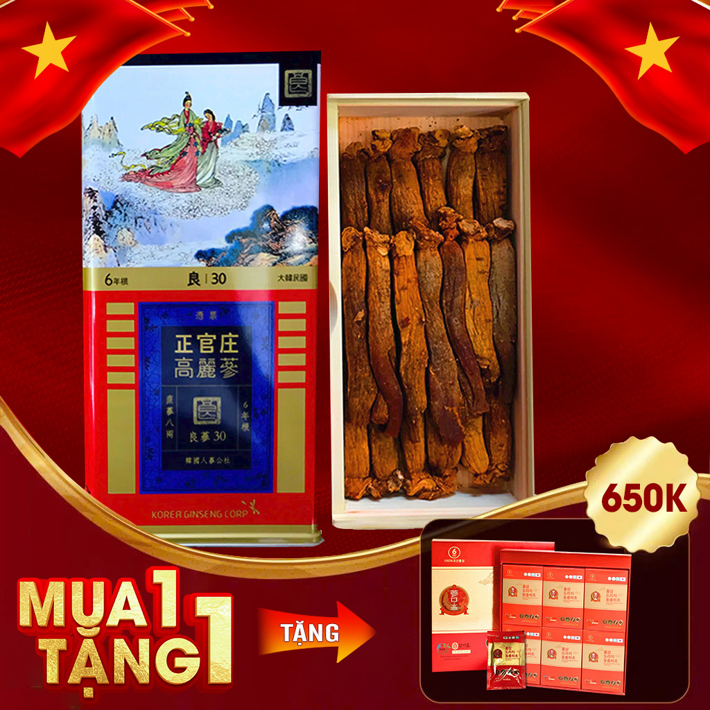 Hồng Sâm Củ Khô Chính Phủ KGC Hộp Thiếc 300g Số 30 (19 Củ)